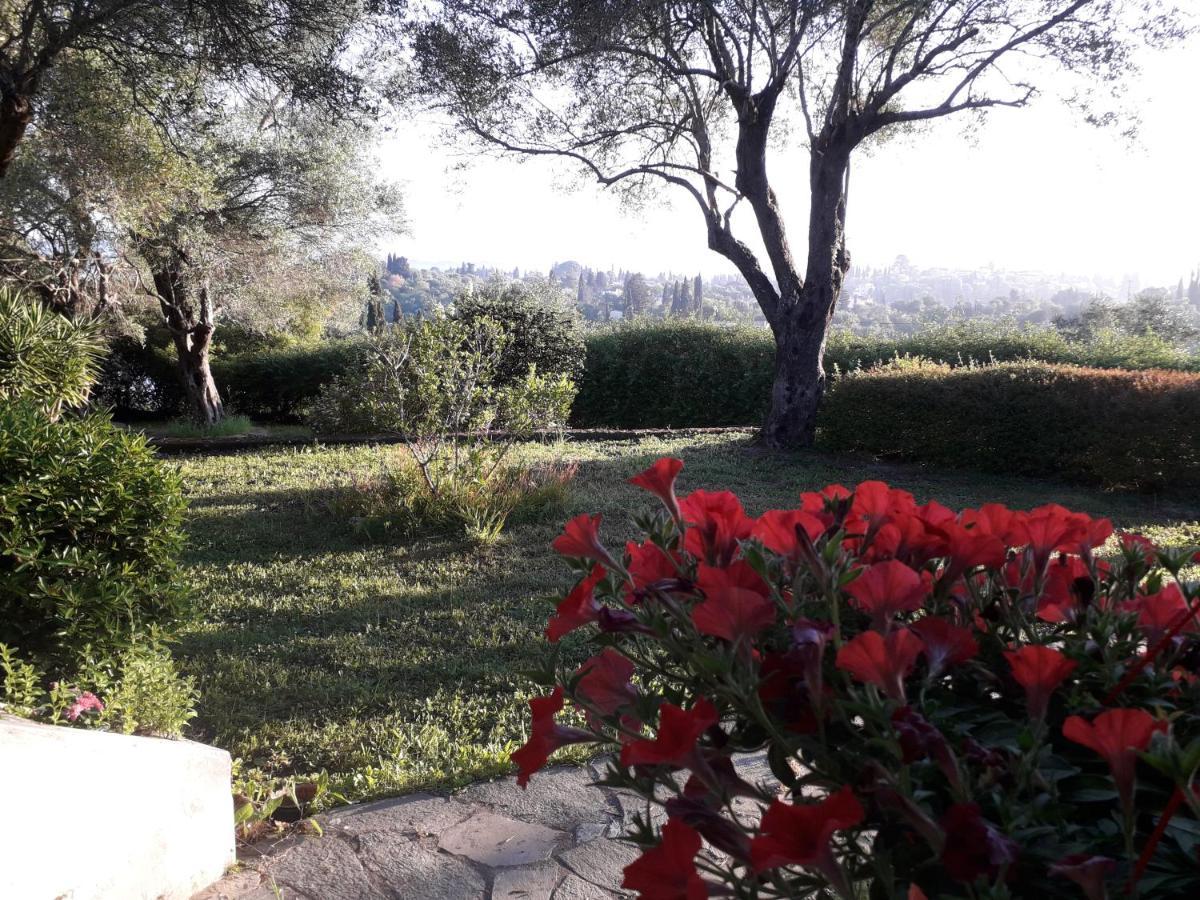 House In The Olive Garden Apartment Agios Ioannis  ภายนอก รูปภาพ