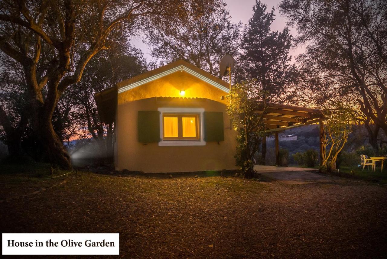 House In The Olive Garden Apartment Agios Ioannis  ภายนอก รูปภาพ