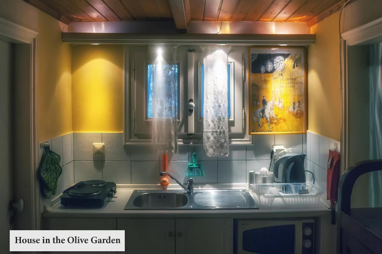 House In The Olive Garden Apartment Agios Ioannis  ภายนอก รูปภาพ