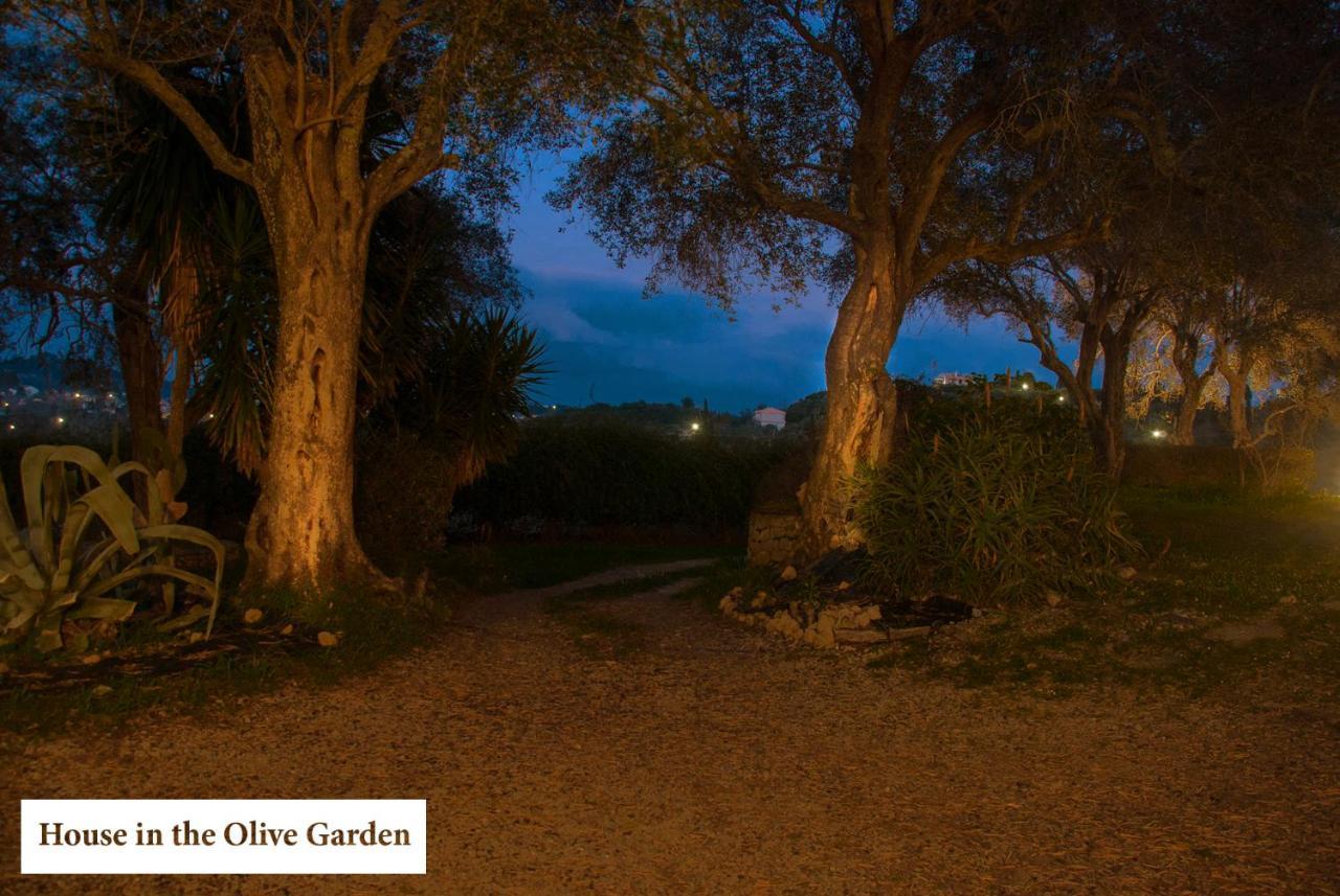 House In The Olive Garden Apartment Agios Ioannis  ภายนอก รูปภาพ