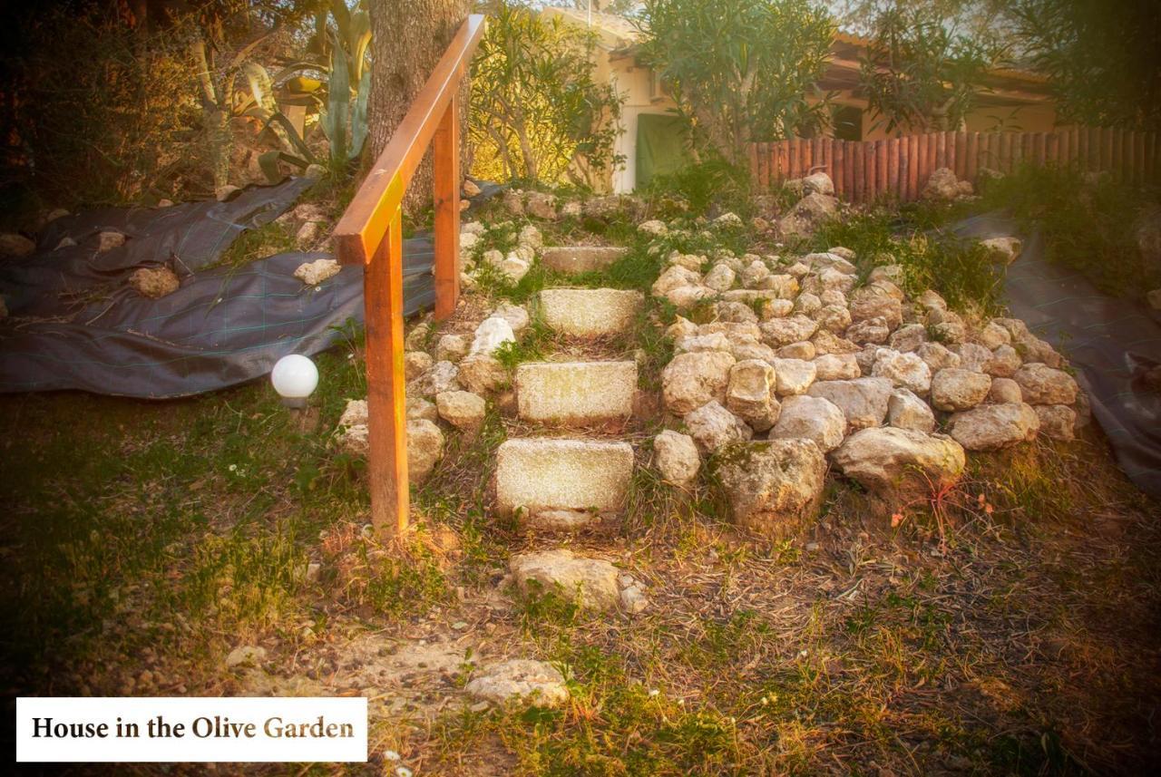 House In The Olive Garden Apartment Agios Ioannis  ภายนอก รูปภาพ
