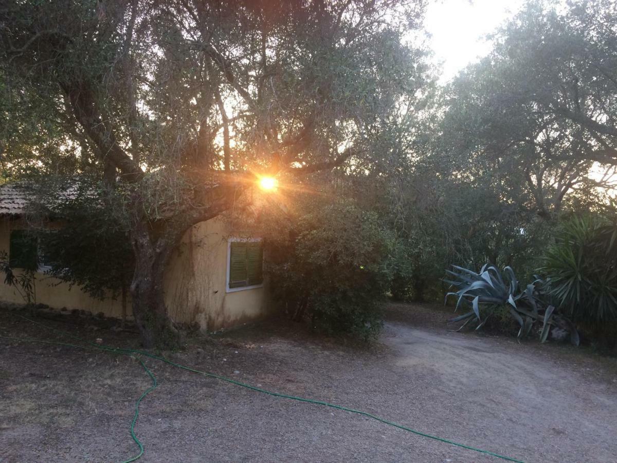 House In The Olive Garden Apartment Agios Ioannis  ภายนอก รูปภาพ