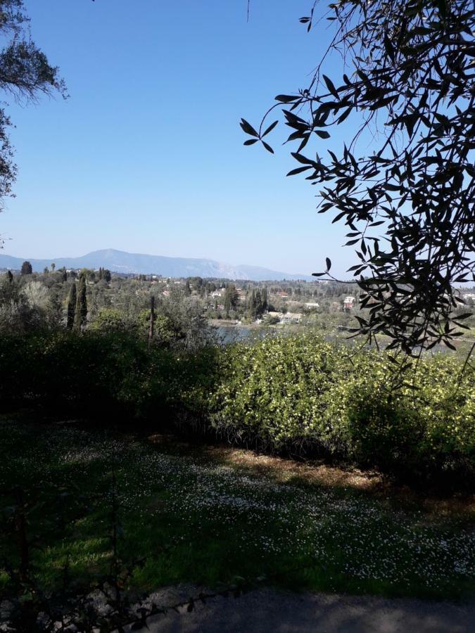 House In The Olive Garden Apartment Agios Ioannis  ภายนอก รูปภาพ