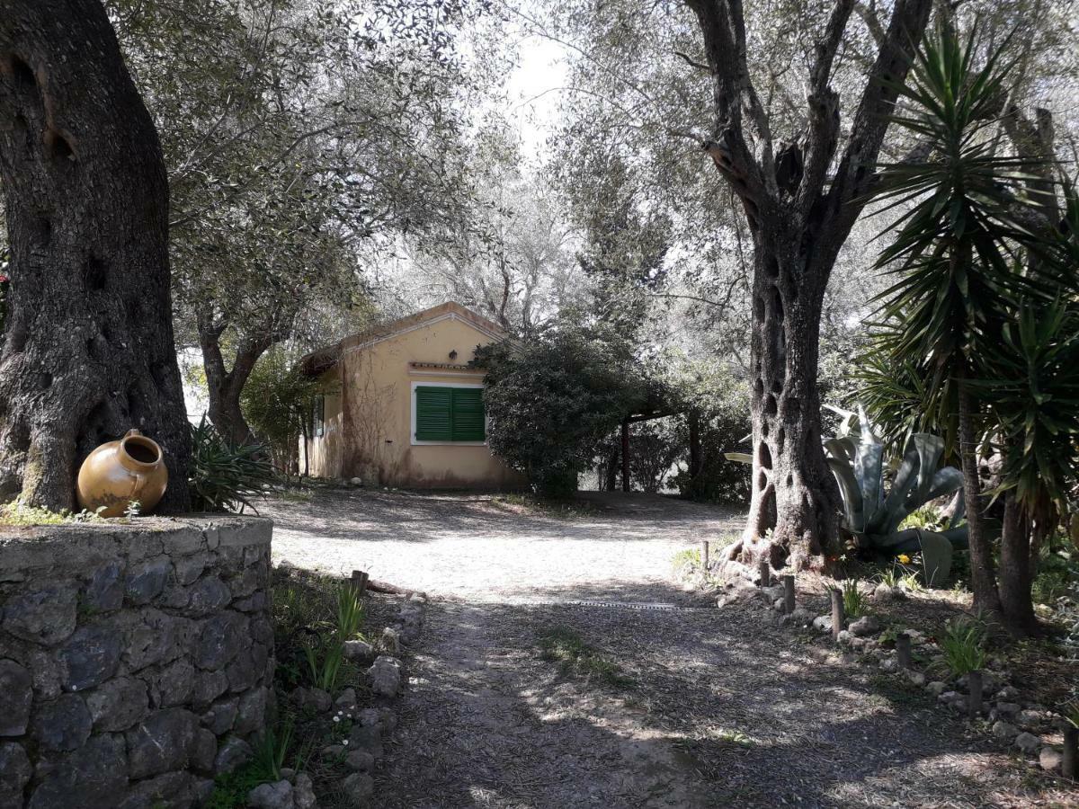 House In The Olive Garden Apartment Agios Ioannis  ภายนอก รูปภาพ