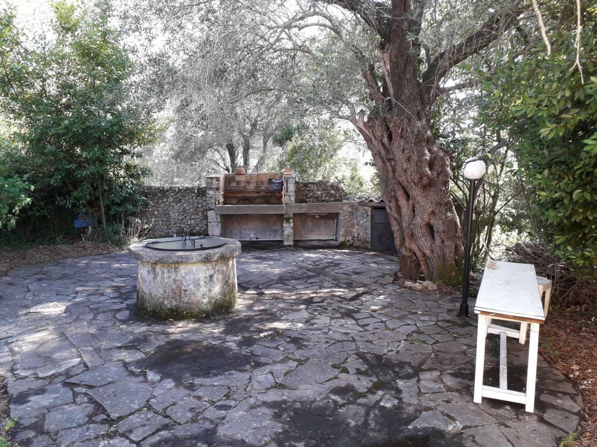House In The Olive Garden Apartment Agios Ioannis  ภายนอก รูปภาพ