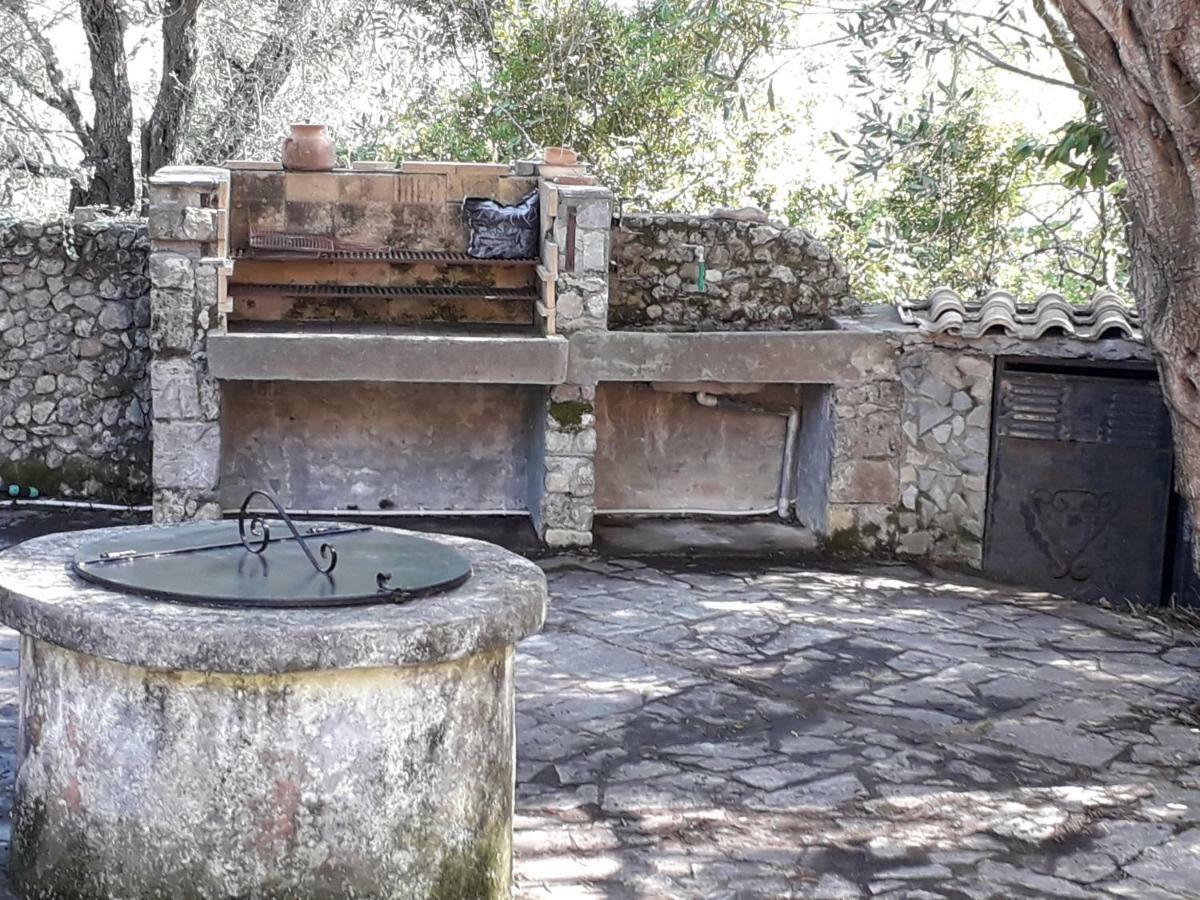 House In The Olive Garden Apartment Agios Ioannis  ภายนอก รูปภาพ