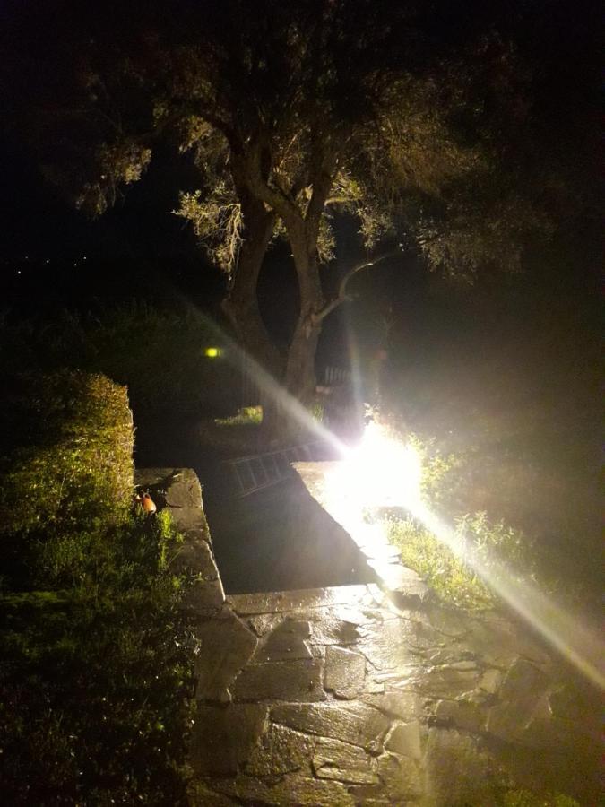 House In The Olive Garden Apartment Agios Ioannis  ภายนอก รูปภาพ